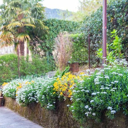 Casa Alice Apartment Lierna Ngoại thất bức ảnh